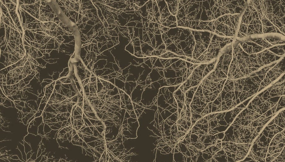 Mehr als eine Diagnosefrage